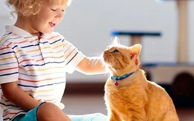 Nueva ley de mascotas ¿Afecta a la hora de alquilar un piso?